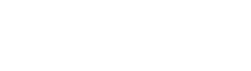 RapidConsulting Logo